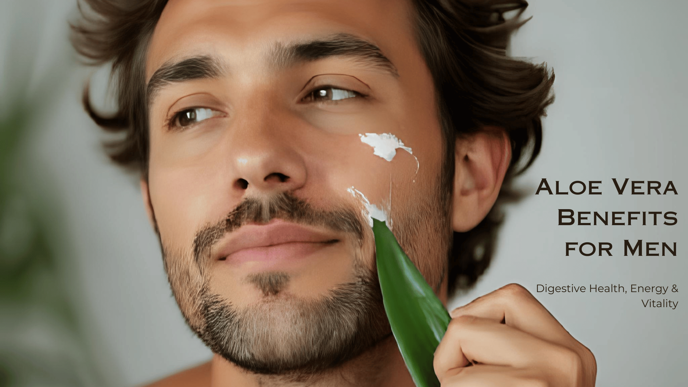 Men’s Wellness: How Aloe Vera Juice May Boost Digestive & Sexual Health