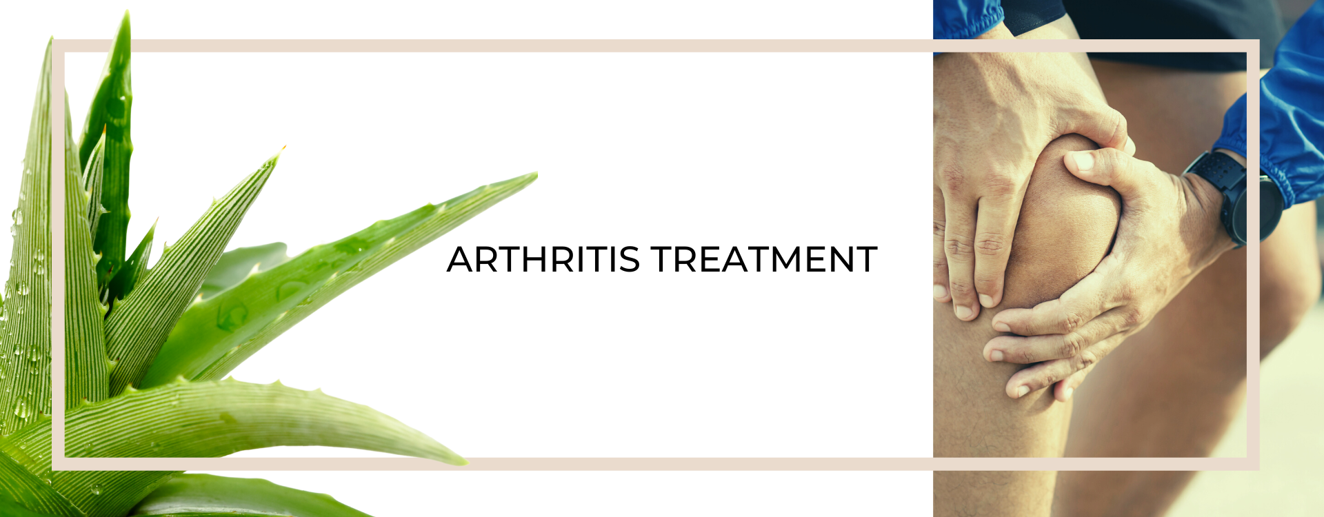 Aloe Vera zur Behandlung von Arthritis
