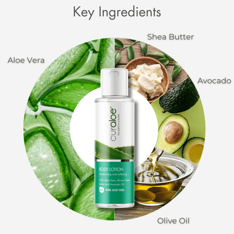 Body Lotion Daily Moisturizing Mini - 80% Aloe Vera Cream