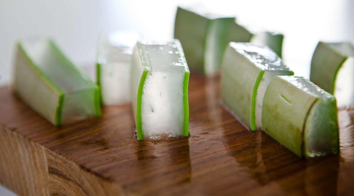 Entdecken Sie unbekannte Verwendungsmglichkeiten von Aloe Vera, die ber  das herkmmliche Gel hinausgehen