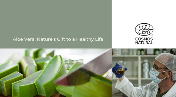 From Plant to Bottle: How Curaloe's ECOCERT COSMOS Certification Ensures Sustainability and Quality